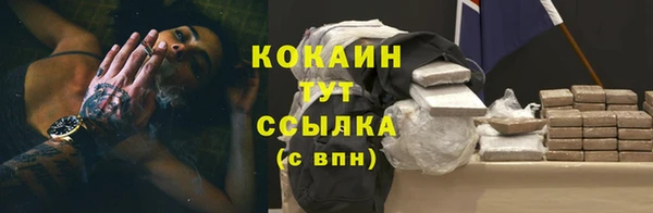 индика Липки