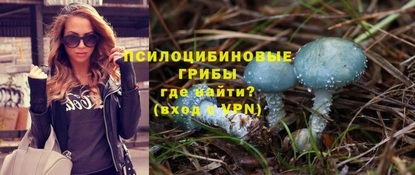 прущие грибы Горняк