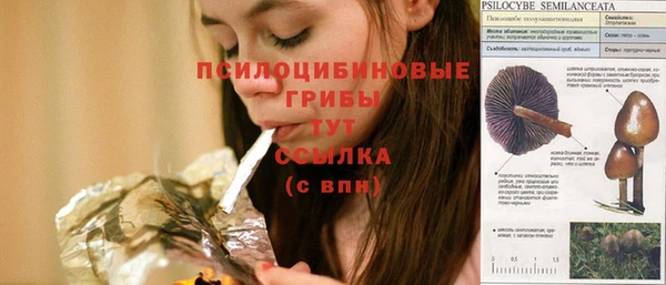 MESCALINE Магадан