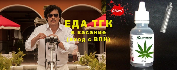 тгк Бикин