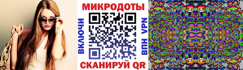Галлюциногенные грибы Psilocybe  Хилок 